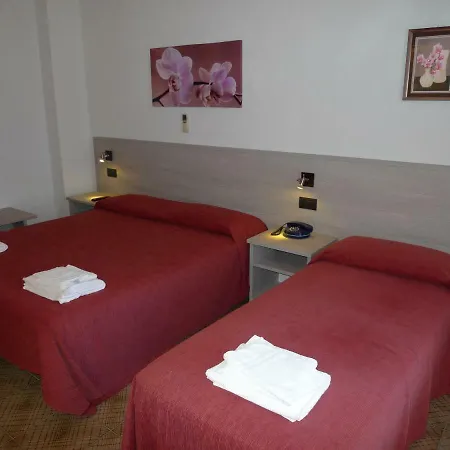 Alexander Hotel 3*