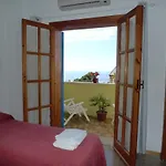 Alexander 3*