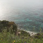 Alexander 3*