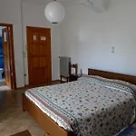 Alexander 3*