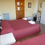 Alexander 3*