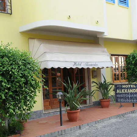 Alexander 산타도메니카