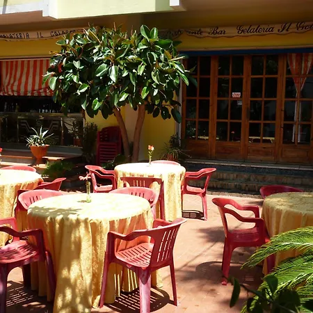 Alexander 산타도메니카