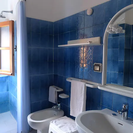 Alexander 산타도메니카